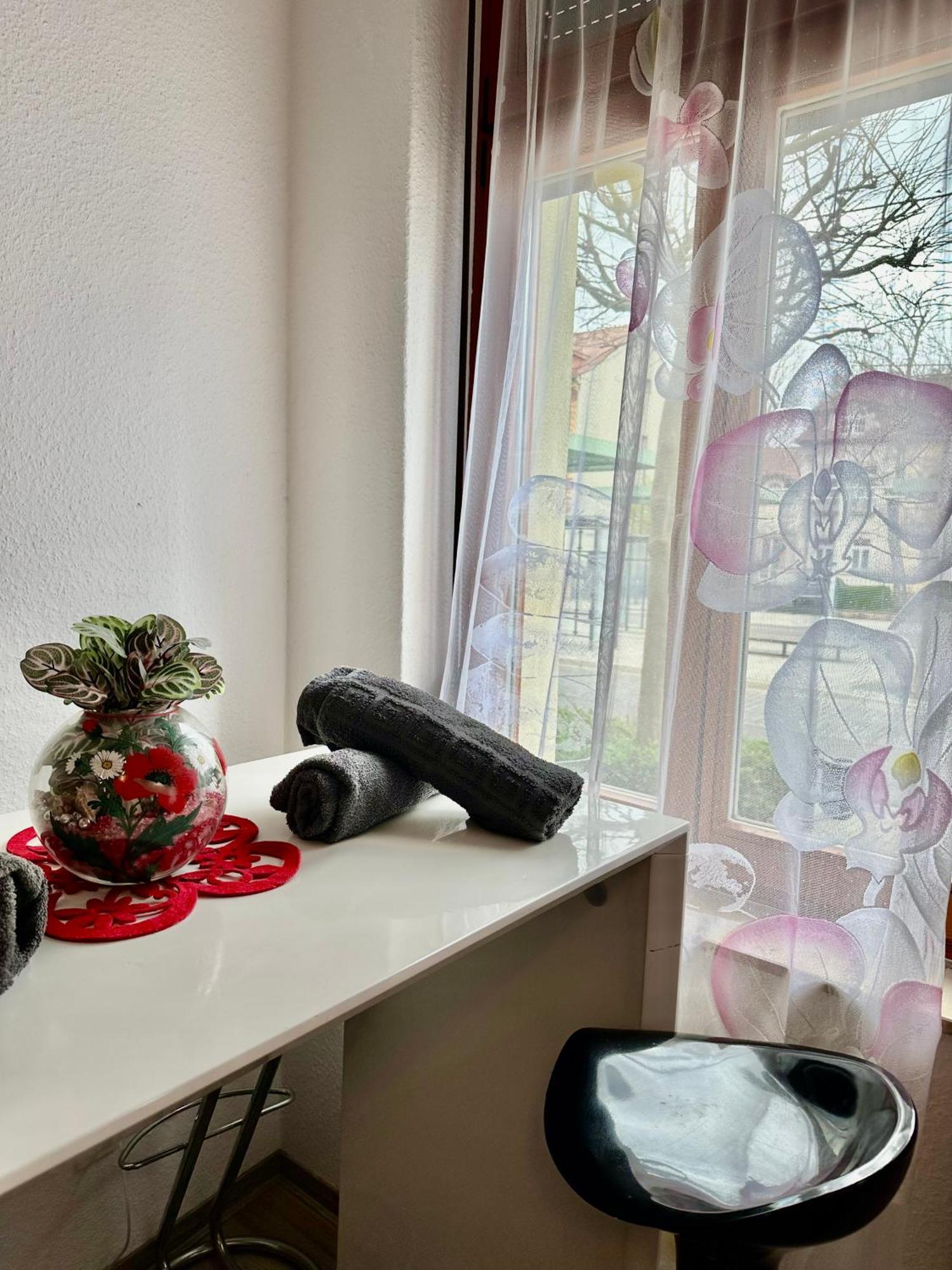 Ferienzimmer Healing Und Montuerwohnung Weißenfels Exteriér fotografie